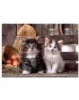 Lovely Kittens Puzzle 1000 piezas